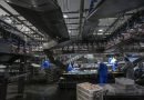 Brasil se declara país livre da gripe aviária