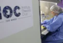Fiocruz: vírus respiratórios permanecem em alta na maior parte do país
