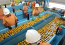 Confira a lista de quase 700 produtos que não serão taxados pelos EUA