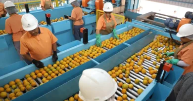 Confira a lista de quase 700 produtos que não serão taxados pelos EUA
