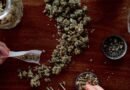 Relatório sobre drogas revela que cannabis está no topo da lista dos usuários