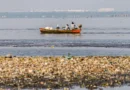 Pescadores tiram 46 toneladas de lixo em baías de Guanabara e Sepetiba