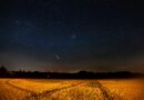 Chuva de meteoros Orionídeas poderá ser vista em todo país; saiba mais