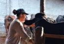 Mulheres rurais enfrentam informalidade e desigualdade no campo