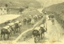 A história do Tropeirismo no Brasil<BR><BR>