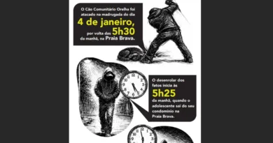 Cão Orelha: Polícia usa imagens e dados de celular para desvendar caso