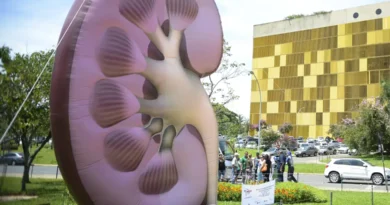 Dia Mundial do Rim: doenças renais são silenciosas e exigem atenção