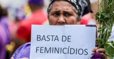 Relatório aponta média de 12 mulheres vítimas de violência por dia