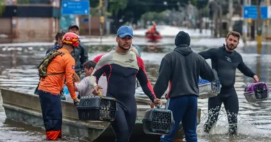 Lei cria Política de Acolhimento para animais resgatados em desastres