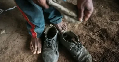 Amado Batista e BYD são incluídos em lista de trabalho escravo do MTE