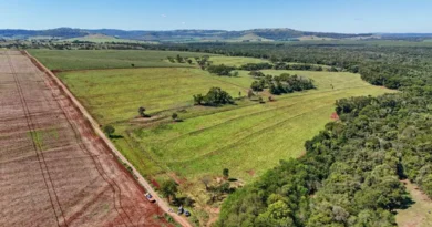 Itaipu compra mais uma área para assentar indígenas no Paraná