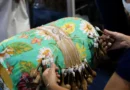 Lei institui 19 de março Dia Nacional da Artesã e do Artesão