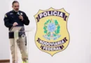PRF intensifica ações do Maio Amarelo para reduzir mortes nas rodovias
