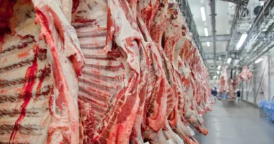 Governo promete reverter veto da UE a carnes e animais brasileiros