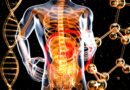 Diarreia e dor abdominal acendem alerta para doenças intestinais