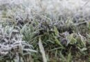 Frio ameaça lavouras de segunda safra do centro-sul
