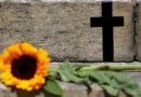 SP: feminicídio aumenta 41%; violação de medida protetiva sobe 31,9%