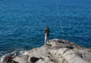 Situação dos oceanos é grave e demanda ação global urgente, diz ONU