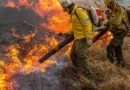 Governo repassa R$ 337 milhões para combate a incêndios e desmatamento