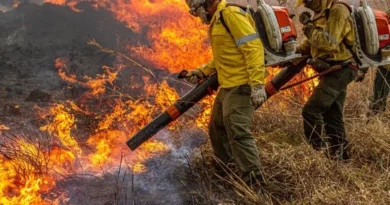 Governo repassa R$ 337 milhões para combate a incêndios e desmatamento