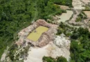 Câmara aprova urgência de texto que facilita garimpo de menor porte
