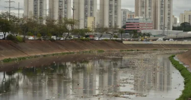 Rio Tietê não tem trecho livre de contaminação, diz SOS Mata Atlântica