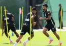 Seleção brasileira se reapresenta e faz 1º treino para encarar Haiti