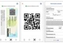 Saiba usar a versão digital da Carteira de Identidade Nacional