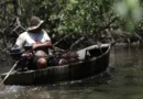 INSS paga em julho R$ 874 milhões a 149,5 mil pescadores