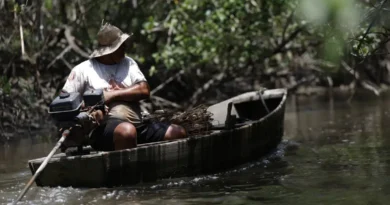 INSS paga em julho R$ 874 milhões a 149,5 mil pescadores