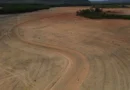 Fim da Moratória da Soja pode ampliar destruição da Amazônia