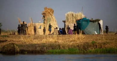 Fome mundial atinge 645 milhões de pessoas, diz relatório da ONU