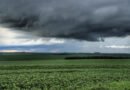 Simepar analisa se tornado atingiu comunidade da cidade de Reserva no domingo