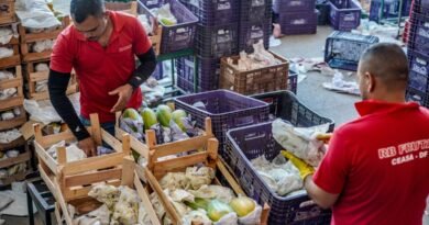 Governo anuncia crédito de R$ 97,3 bi para agricultores familiares