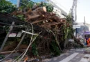 Ventania em SP, RS e RJ expõe falhas na resposta a extremos climáticos