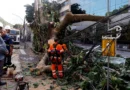Rede elétrica mais resiliente requer investimento de concessionárias