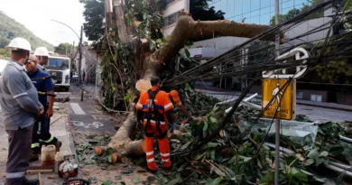 Rede elétrica mais resiliente requer investimento de concessionárias