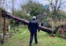 Rio Grande do Sul: chuvas deixam 720 desabrigados em Eldorado do Sul