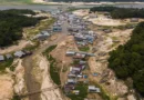 Da Amazônia à Europa, seca avança e movimenta debates na COP17