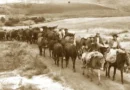A história do Tropeirismo no Brasil