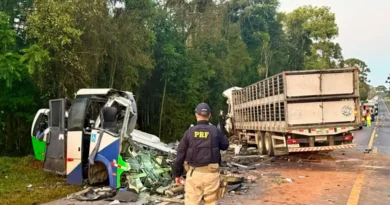 Acidente entre ônibus e caminhão mata 23 pessoas em estrada no Paraná