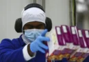 Saiba como empresas devem prevenir riscos à saúde mental no trabalho