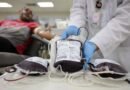 ‘Junho Vermelho’: campanha de incentivo à doação de sangue agora é lei