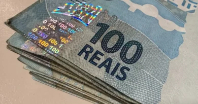 Vendas do Tesouro Direto registram melhor julho da história