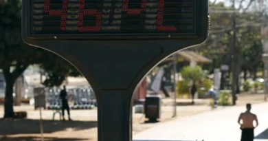 Ondas de calor ainda são negligenciadas no Brasil, diz pesquisadora