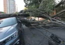 Respostas à crise climática exigem inovação, defende setor elétrico