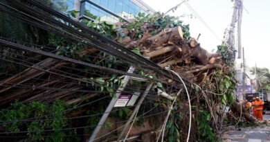 Eventos climáticos extremos desafiam concessionárias de energia