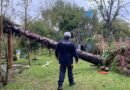 Sul, Sudeste e Centro-Oeste têm alerta para tempestades e vendavais