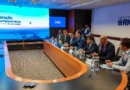 Anac suspende quatro empresas de voos panorâmicos que operavam no Rio
