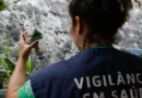 São Paulo tem mais de 58 mil casos de dengue desde o início do ano